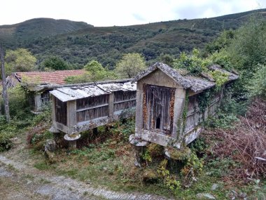 Yirminci yüzyılın başlarında Ourense Galiçya İspanya'da ahıryükseltilmiş.