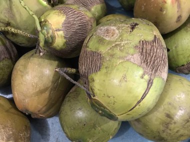 Bazı hindistan cevizi yakın