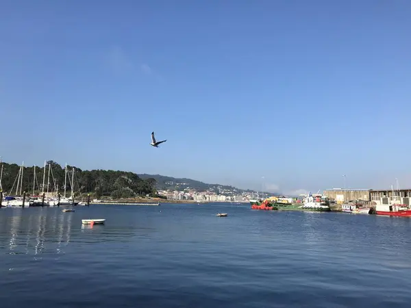 Vista desde el muelle con barcos a la distancia en Sanxenxo Galicia España —  Fotos de Stock