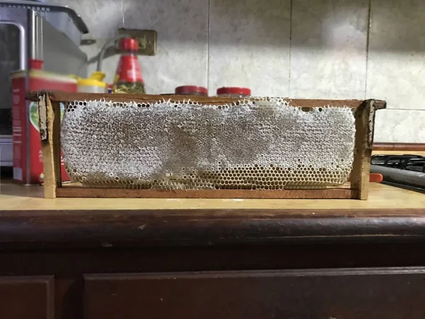 Panal de abeja instalado en una estructura de madera colocada en el mostrador de una cocina —  Fotos de Stock