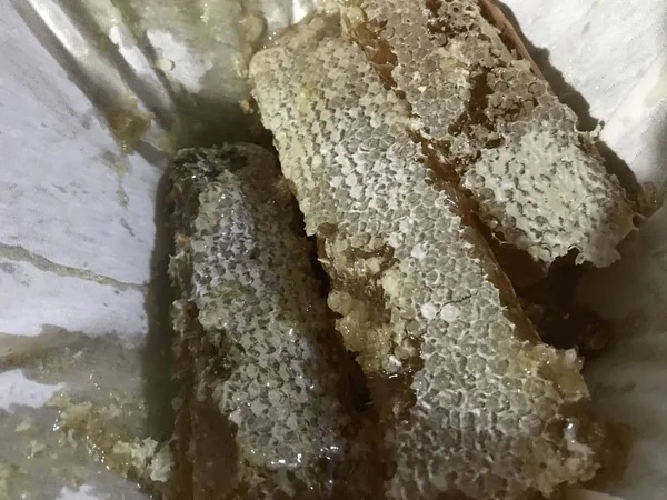 Bee honeycomb cut into pieces during the process of extracting the honey — Stock Photo, Image