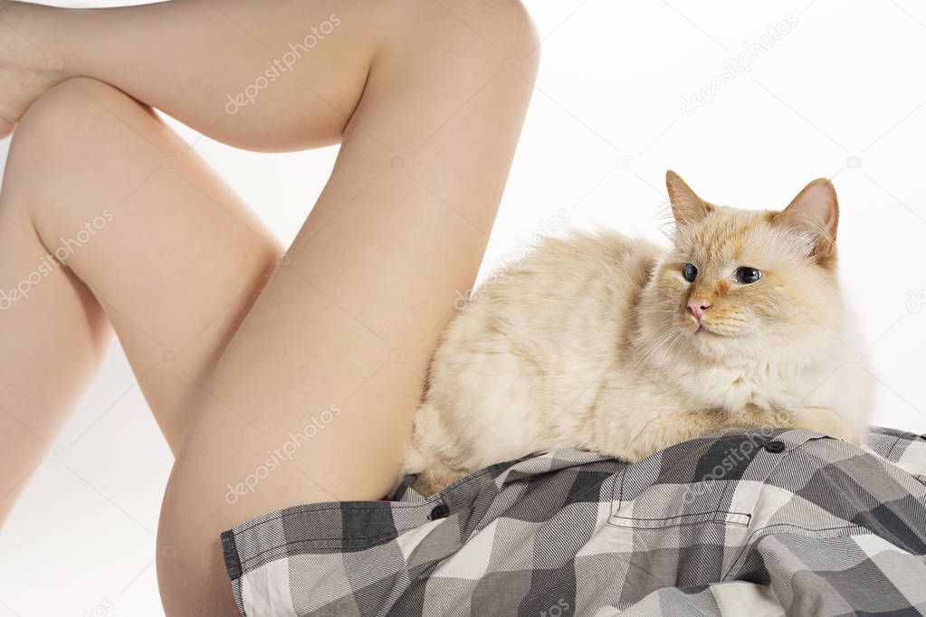 cat laying between a woman's naked legs on white background art