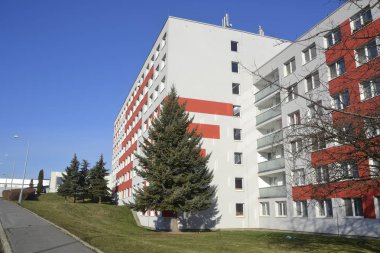 büyük köknar ile modern bina