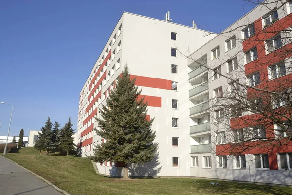 Bina eski köknar ile