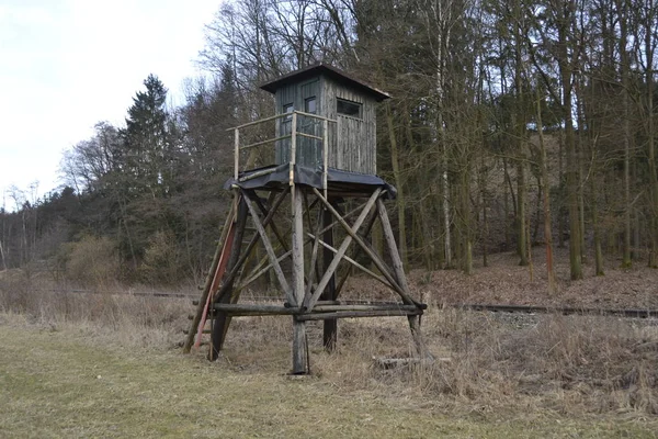 Vieille Maison Bois Dans Forêt — Photo