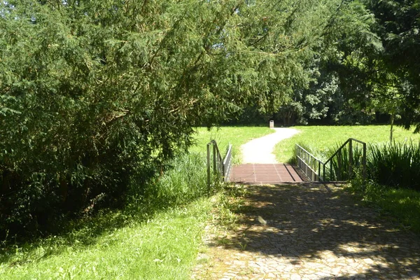 Wandelpad Een Stadspark Met Een Brug Een Beek — Stockfoto