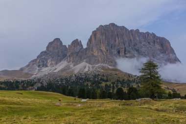 Yolda Doğa Parkı Seceda/Grden güzel South Tyrol içinde