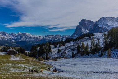 Yolda Doğa Parkı Seceda/Grden güzel South Tyrol içinde