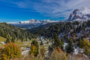 Yolda Doğa Parkı Seceda/Grden güzel South Tyrol içinde