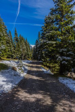 Yolda Doğa Parkı Seceda/Grden güzel South Tyrol içinde