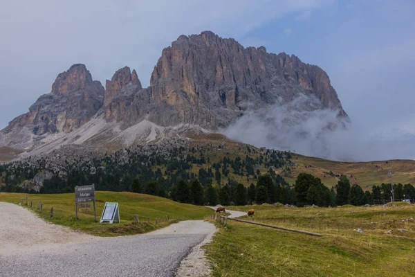 Camino Parque Natural Seceda Grden Hermoso Tirol Del Sur —  Fotos de Stock