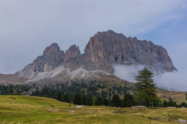 Unterwegs Naturpark Seceda Grden Schönen Südtirol — Stockfoto