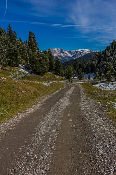 Way Nature Park Seceda Grden Beautiful South Tyrol — стоковое фото