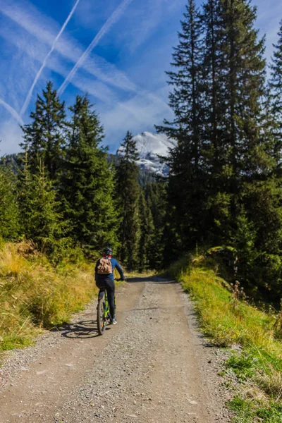 Way Nature Park Seceda Grden Beautiful South Tyrol — стоковое фото