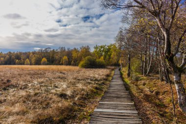 İçinde Rhn Schwarzen Moor yakınındaki üzerinden keşif turu