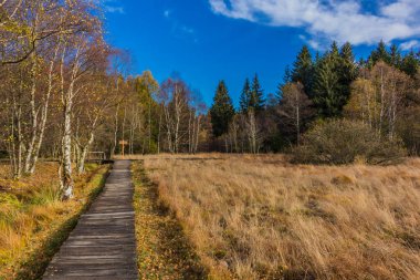 İçinde Rhn Schwarzen Moor yakınındaki üzerinden keşif turu