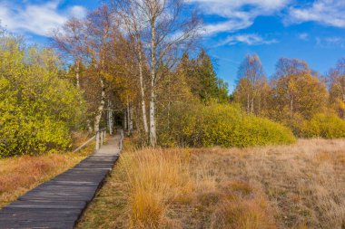 İçinde Rhn Schwarzen Moor yakınındaki üzerinden keşif turu