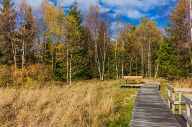 İçinde Rhn Schwarzen Moor yakınındaki üzerinden keşif turu