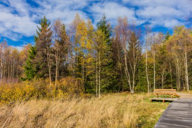 İçinde Rhn Schwarzen Moor yakınındaki üzerinden keşif turu