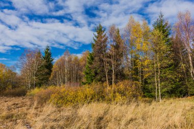 İçinde Rhn Schwarzen Moor yakınındaki üzerinden keşif turu