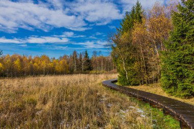İçinde Rhn Schwarzen Moor yakınındaki üzerinden keşif turu