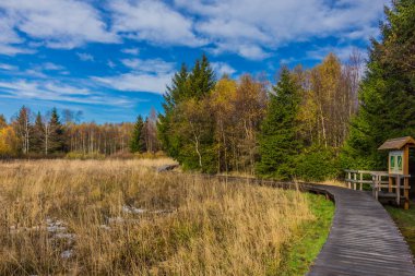 İçinde Rhn Schwarzen Moor yakınındaki üzerinden keşif turu