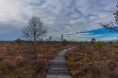 İçinde Rhn Schwarzen Moor yakınındaki üzerinden keşif turu