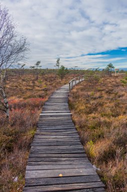 İçinde Rhn Schwarzen Moor yakınındaki üzerinden keşif turu