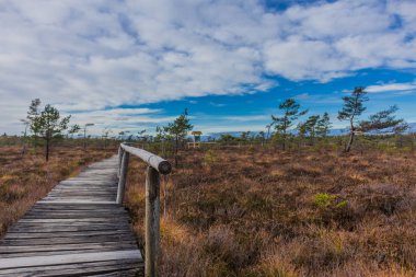 İçinde Rhn Schwarzen Moor yakınındaki üzerinden keşif turu