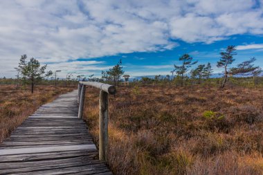 İçinde Rhn Schwarzen Moor yakınındaki üzerinden keşif turu