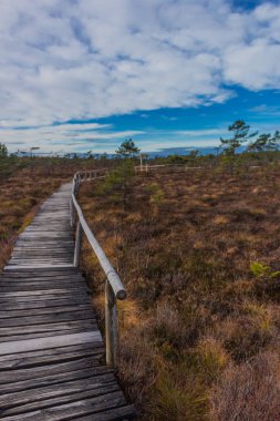 İçinde Rhn Schwarzen Moor yakınındaki üzerinden keşif turu