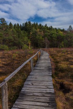 İçinde Rhn Schwarzen Moor yakınındaki üzerinden keşif turu