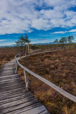 İçinde Rhn Schwarzen Moor yakınındaki üzerinden keşif turu