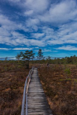 İçinde Rhn Schwarzen Moor yakınındaki üzerinden keşif turu