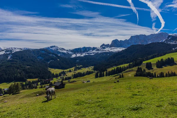 Camino Parque Natural Seceda Grden Hermoso Tirol Del Sur —  Fotos de Stock