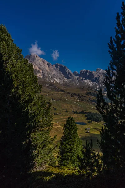 Way Nature Park Seceda Grden Beautiful South Tyrol — Stock Photo, Image