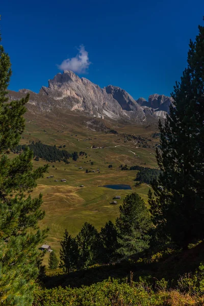 Way Nature Park Seceda Grden Beautiful South Tyrol — Stock Photo, Image