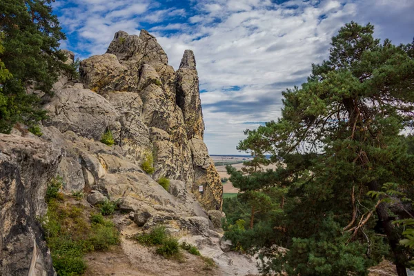 Вивчення Гір Гарц Сонячний День Осені — стокове фото