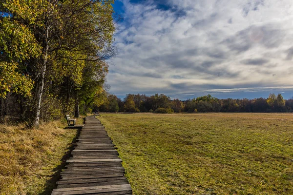 İçinde Rhn Schwarzen Moor yakınındaki üzerinden keşif turu