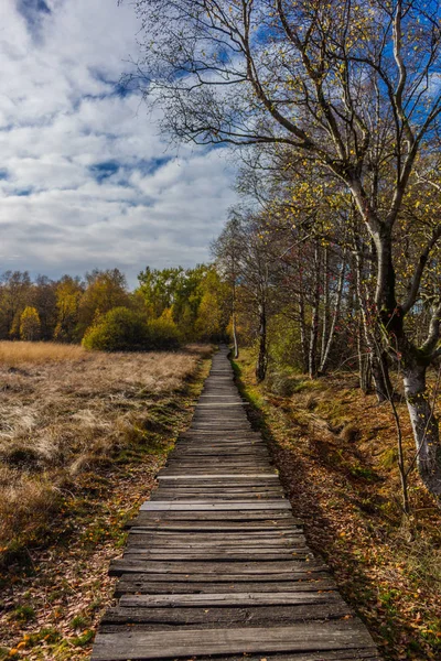 Exploration Tour Rhn Schwarzen Moor — Stock Photo, Image