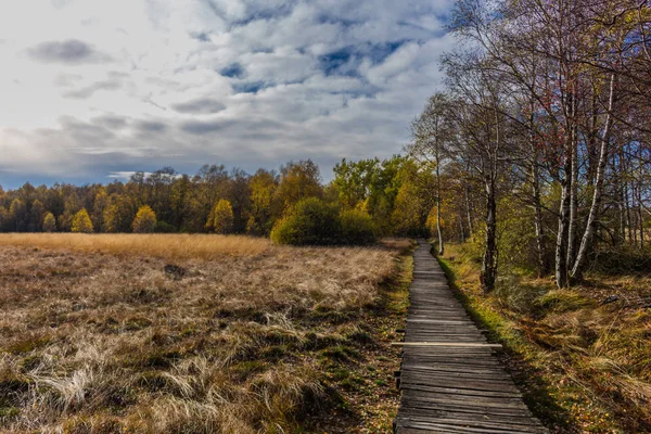 İçinde Rhn Schwarzen Moor yakınındaki üzerinden keşif turu