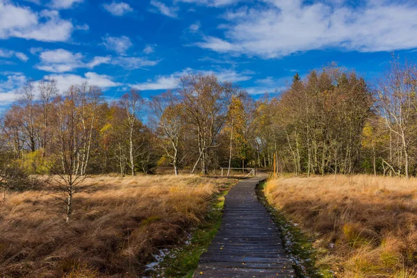 Exploration Tour Rhn Schwarzen Moor — Stock Photo, Image