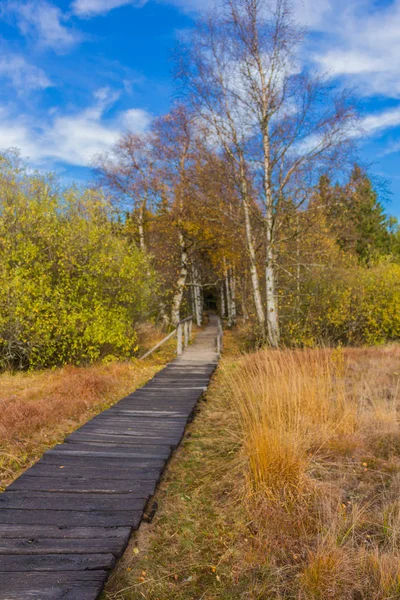 Erkundungstour Durch Die Rhn Der Nähe Des Schwarzen Moors — Stockfoto