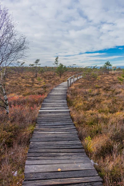 Erkundungstour Durch Die Rhn Der Nähe Des Schwarzen Moors — Stockfoto