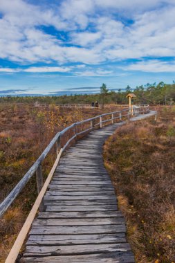 İçinde Rhn Schwarzen Moor yakınındaki üzerinden keşif turu