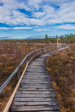 İçinde Rhn Schwarzen Moor yakınındaki üzerinden keşif turu