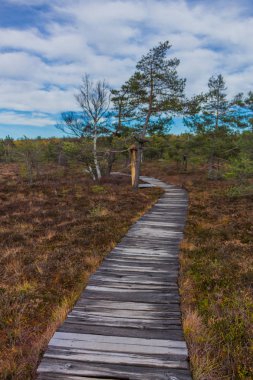 İçinde Rhn Schwarzen Moor yakınındaki üzerinden keşif turu