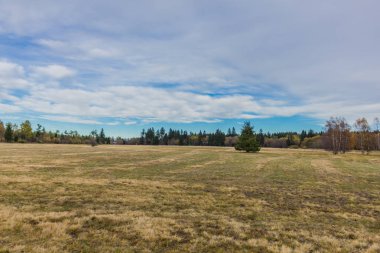 İçinde Rhn Schwarzen Moor yakınındaki üzerinden keşif turu