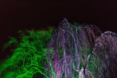 Sergi ega-park erfurt Thüringen'de 