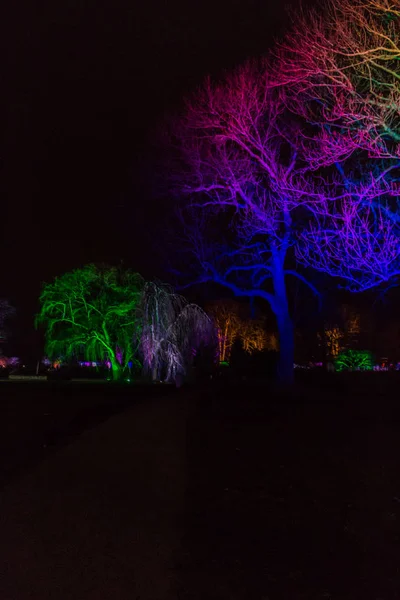 Exposição Winterleuchten Ega Park Erfurt Thuringia — Fotografia de Stock